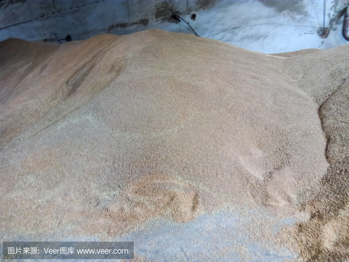 大麦和小麦的谷物堆在股票