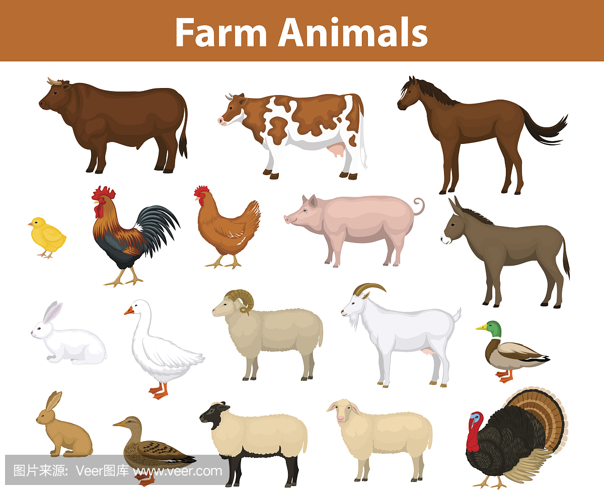 Farm animals collection with cow, bull, horse, h