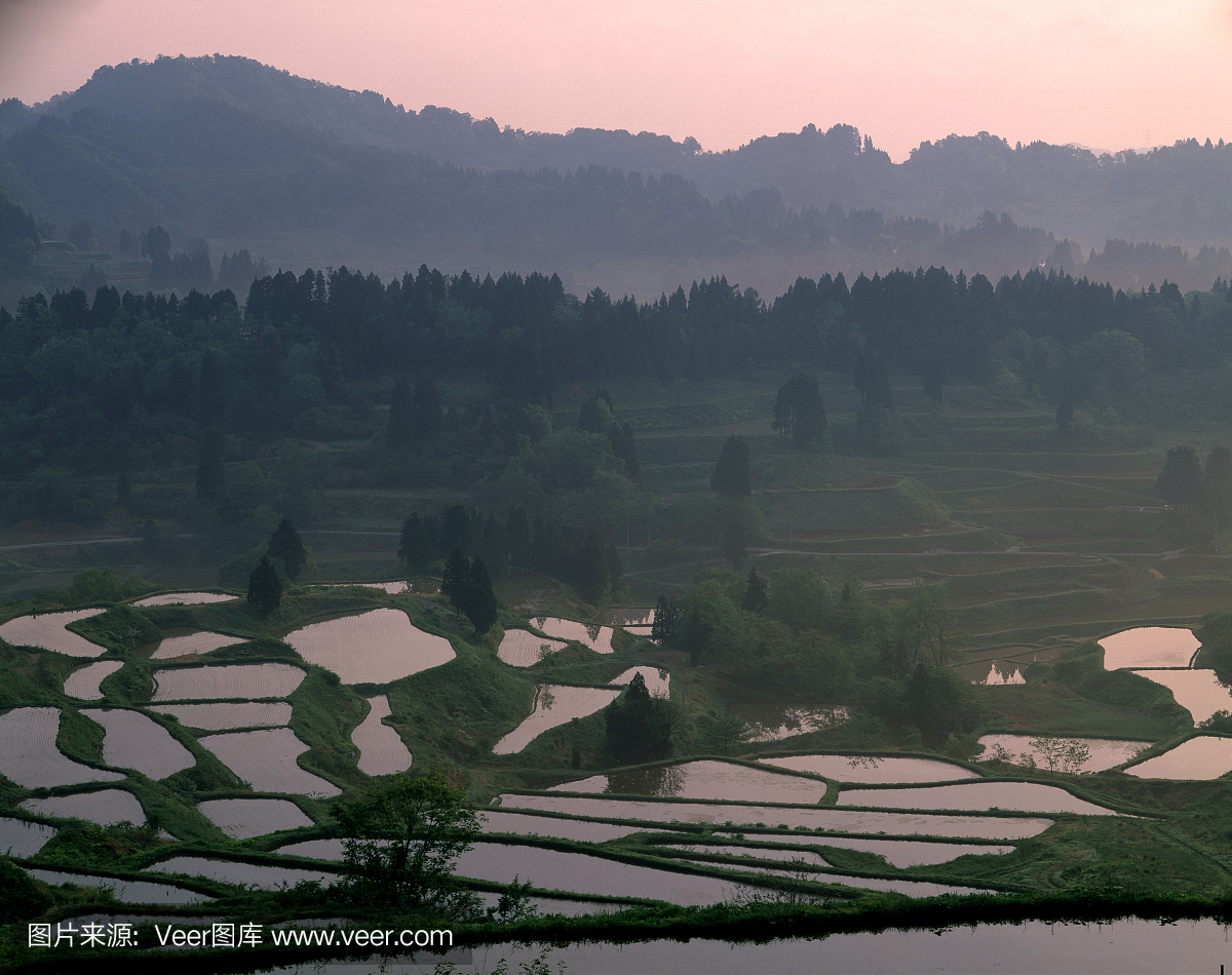 新泻县,新滹,日本本州岛中北岸港市,新泻镇