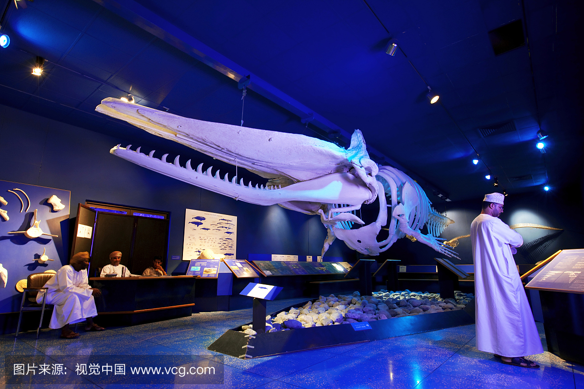 阿曼苏丹国,阿拉伯半岛,马斯喀特,阿曼自然历史