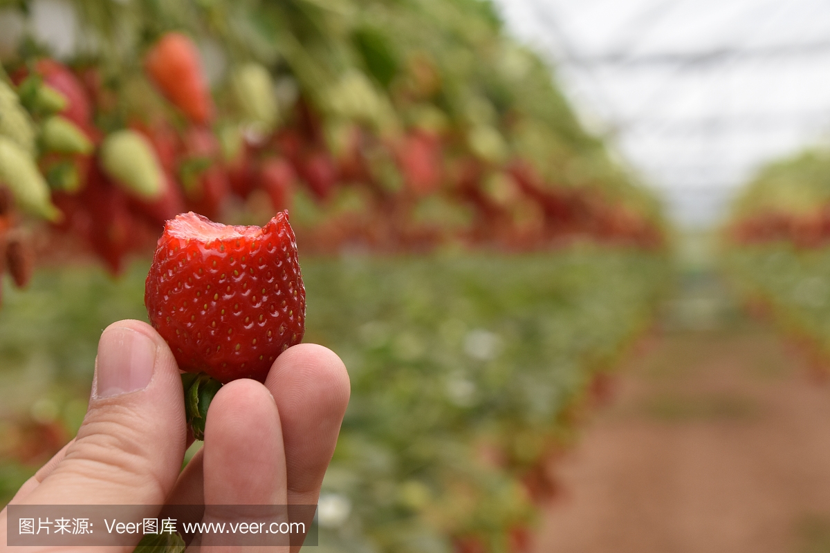 探访“多彩贵州欢乐购·新春年货节”：消费场景新 人气财气旺开云体育(图1)