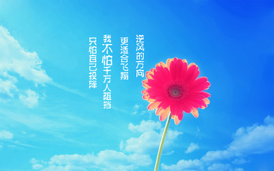 激励自己的桌面壁纸 - 图片家图片素材站!-645kb