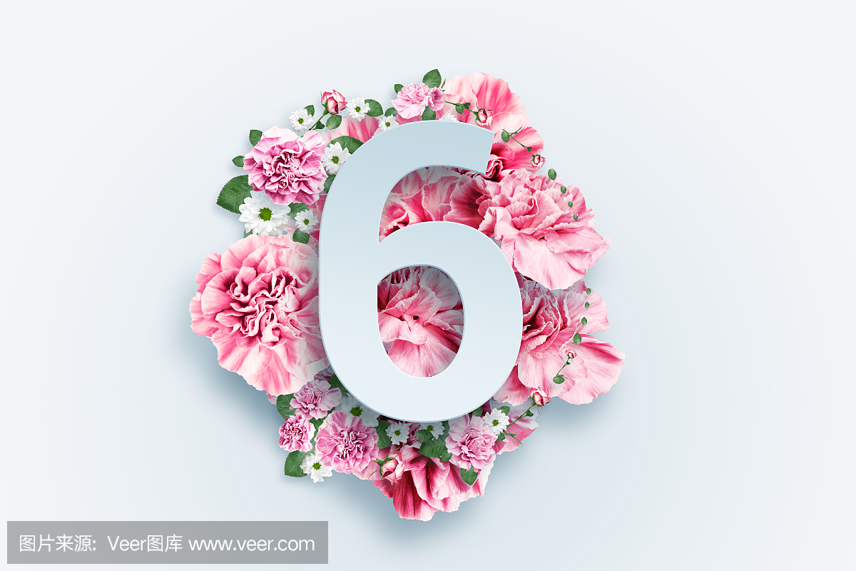 粉红色的花朵和绿叶背景上的六位数字。春天的