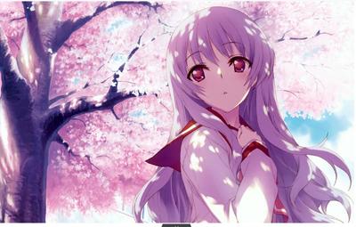 二次元动漫美女污