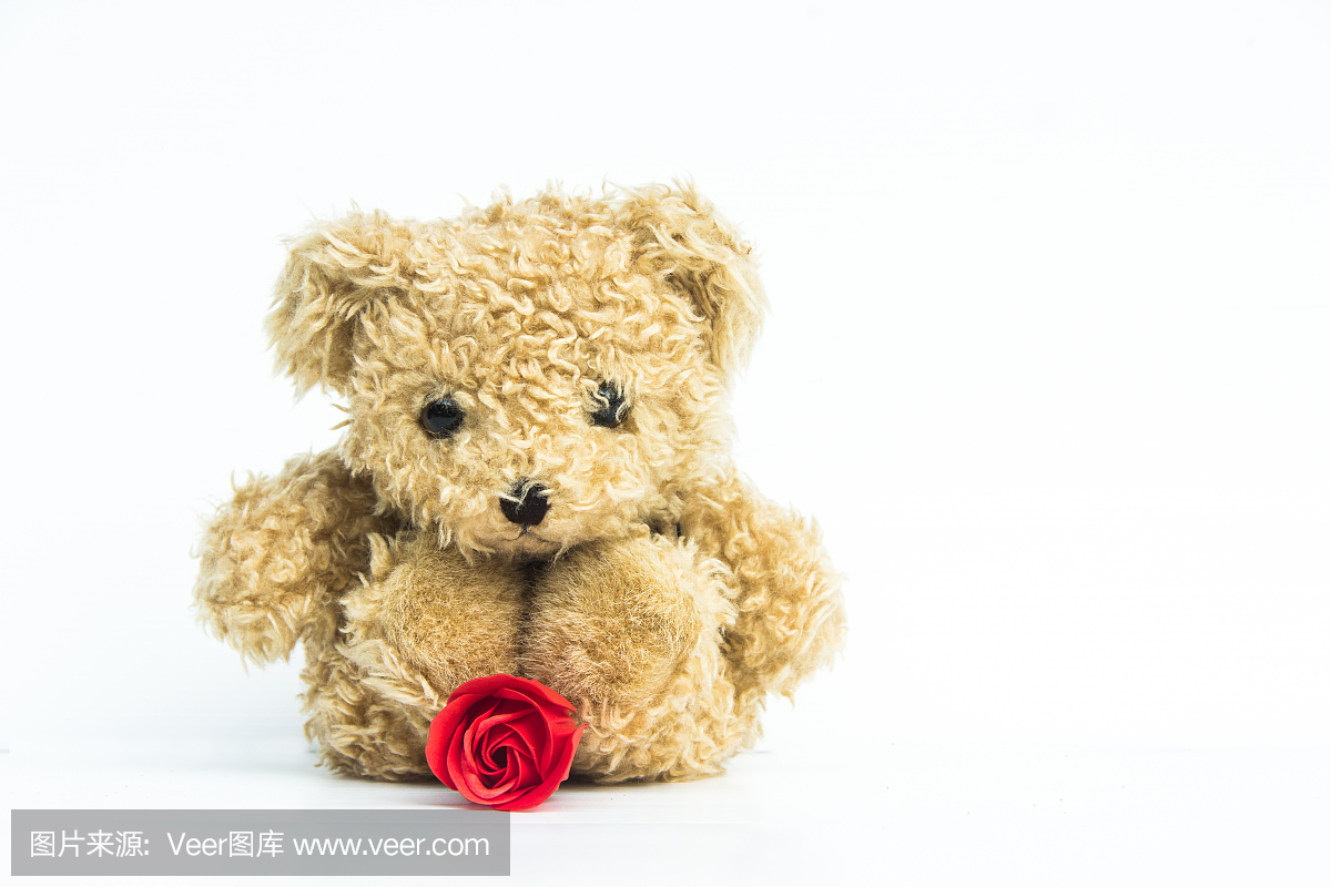 泰迪熊,玩偶熊,玩具小熊,小熊