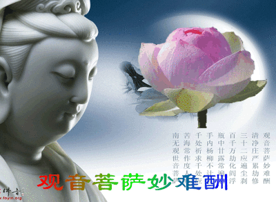 观音佛像动态壁纸_观音佛像动态壁纸图片大全