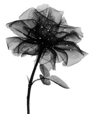 卡通非主流服装名片