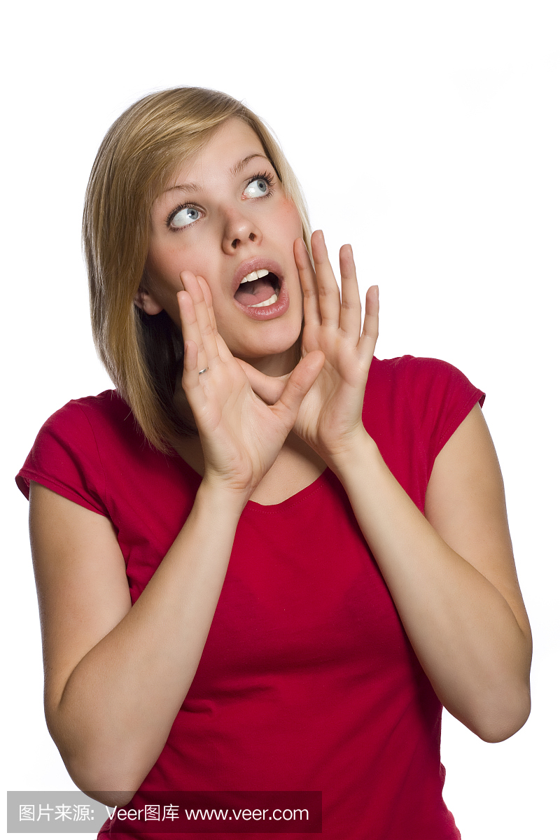 嚎叫,咆哮的,吠的,吠叫