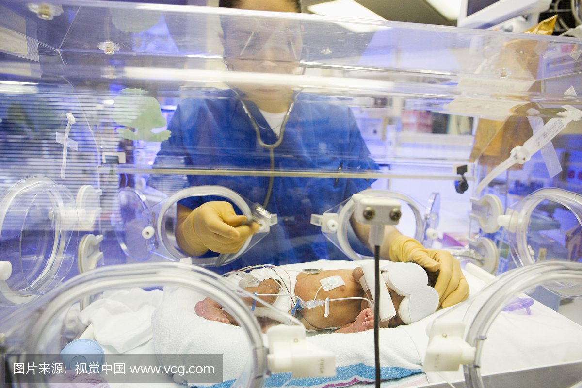 Premature Baby in Incubator is Being Examined