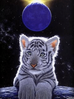 壁纸 动物 猫 猫咪 小猫 桌面 240_320 竖版 竖屏 手机 gif 动态图 动