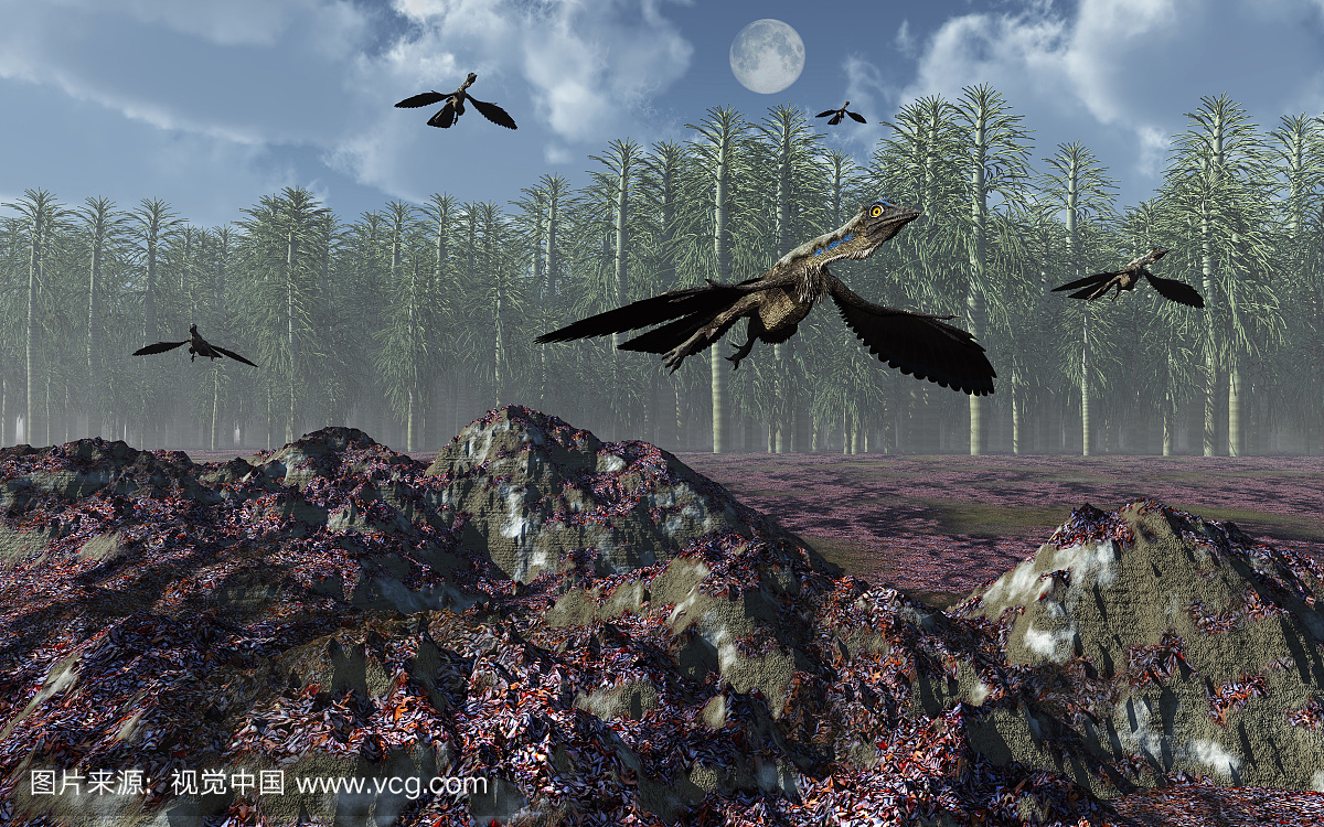 一群始祖鸟类鸟类恐龙飞越侏罗纪风景。