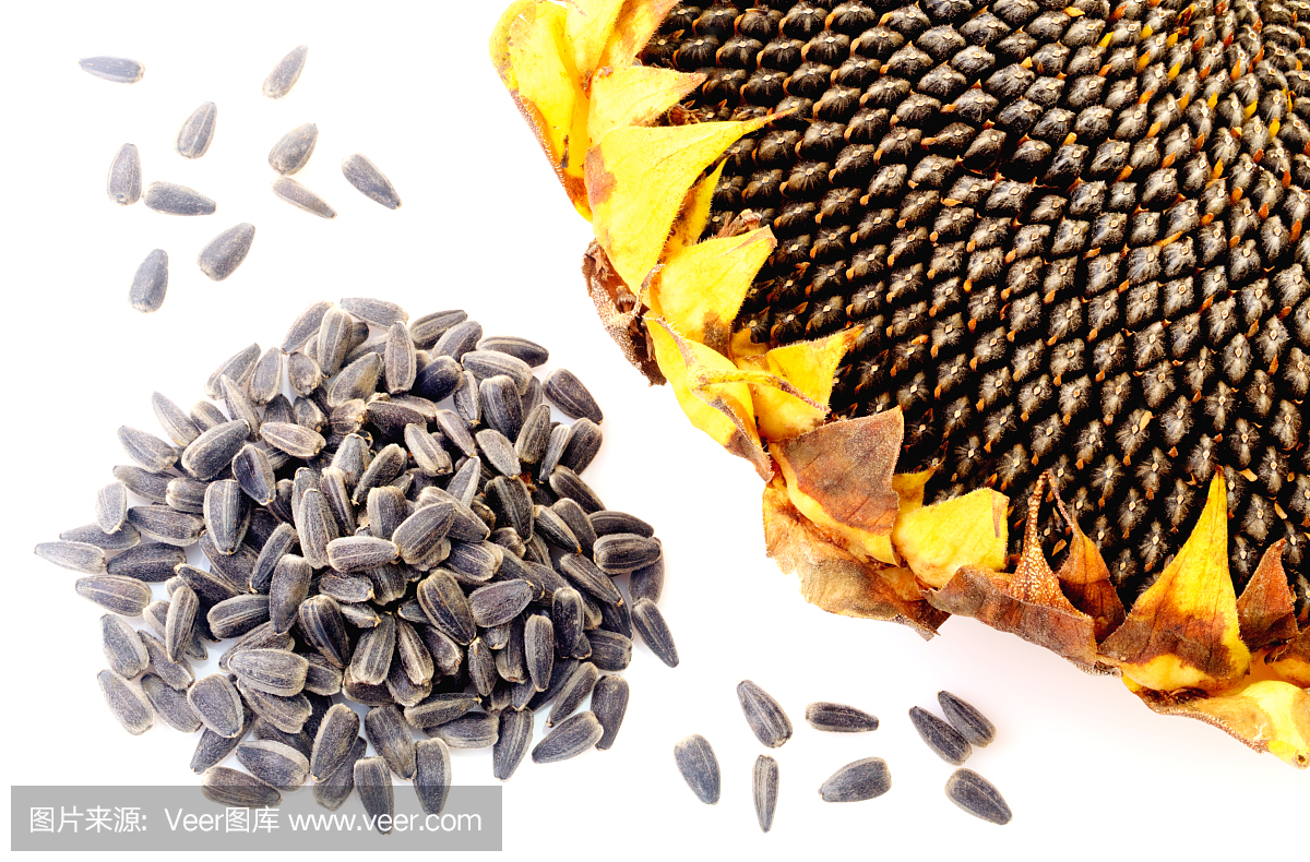 向日葵籽,瓜子仁,向日葵种,葵花籽