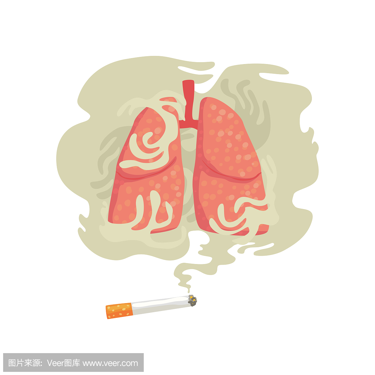 香烟烟雾和肺,坏习惯,吸烟的危害,尼古丁成瘾卡