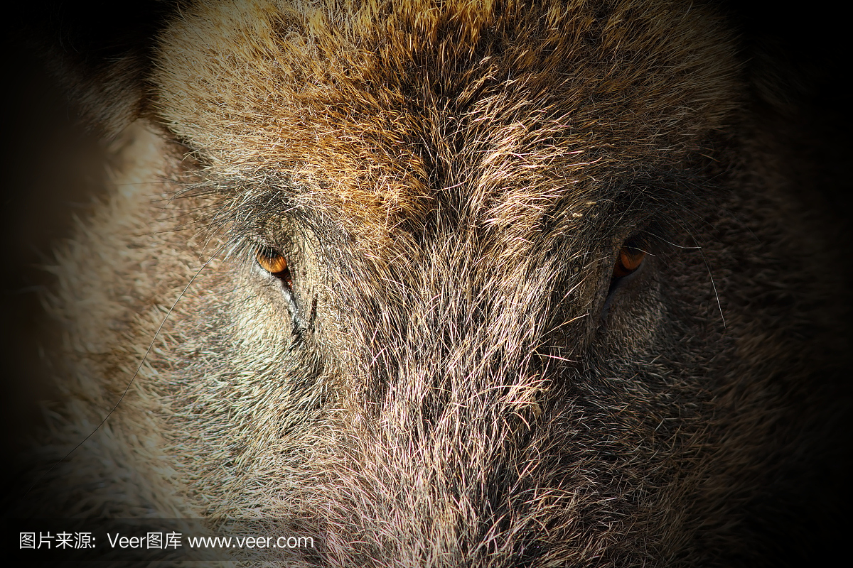 爱聊科技请求辨认交际渠道违法违规用户专利有用提高违法违规用户的辨认精度