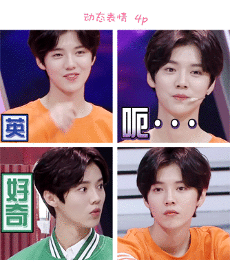 鹿晗动态表情包