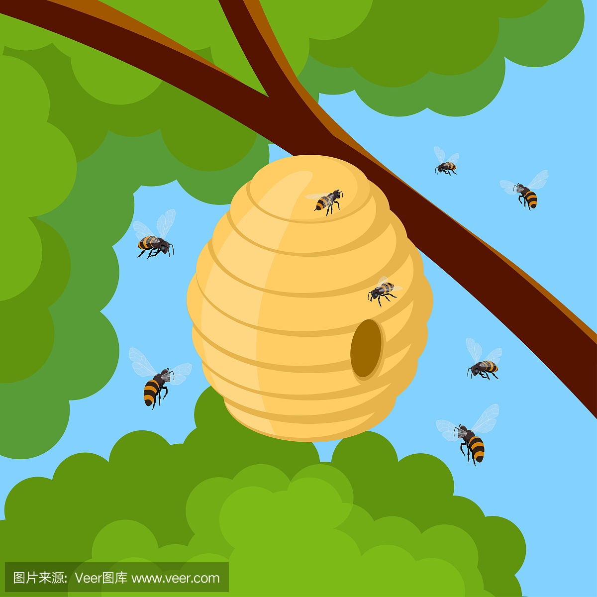 蜂蜜蜂和蜂巢在树枝上。蜂房子与圆形入口的矢