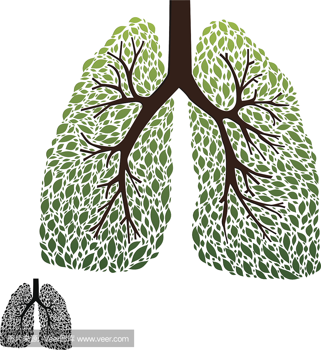 呼吸运动,呼吸练习,吐气,吐纳