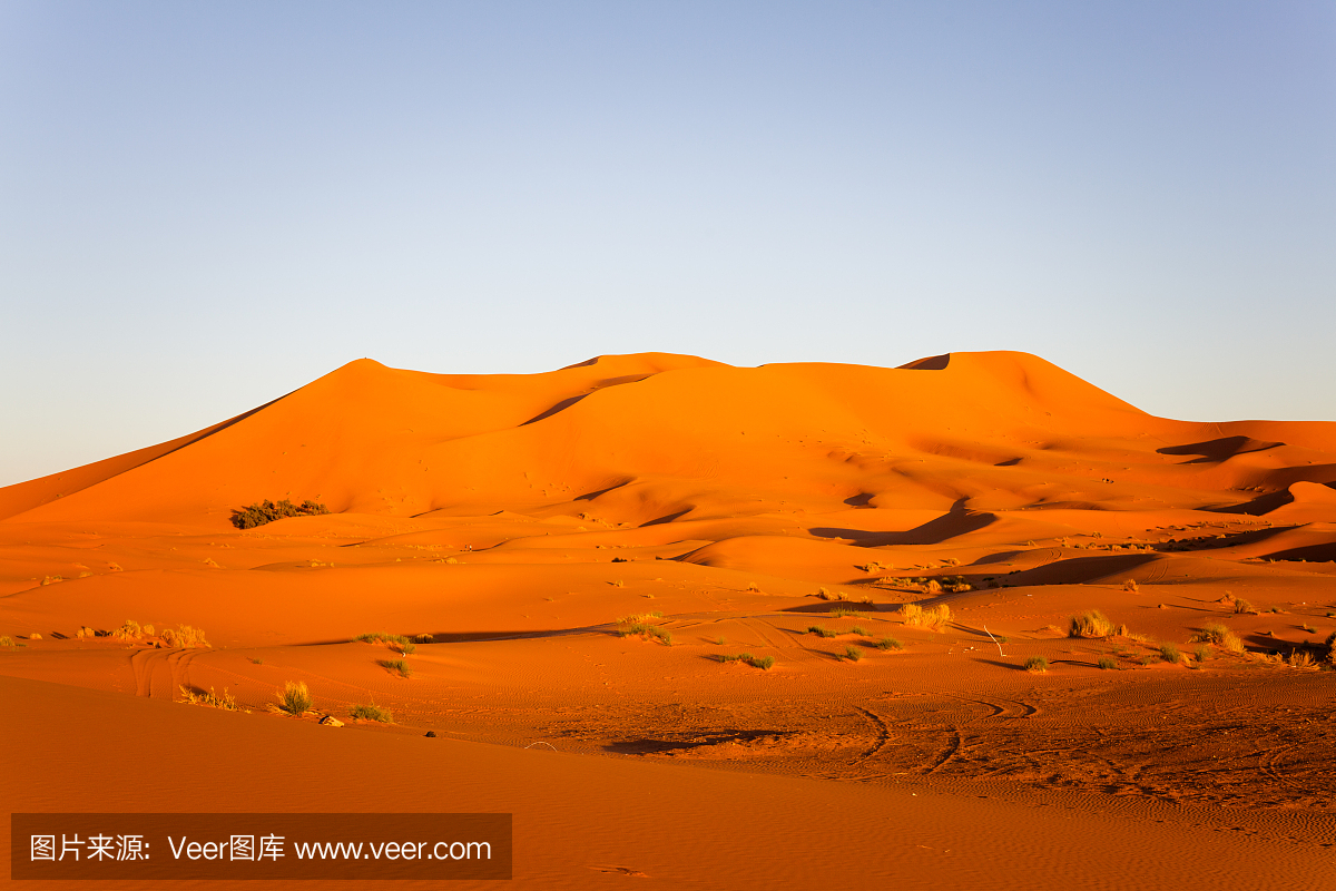 撒哈拉沙漠在日落时,摩洛哥