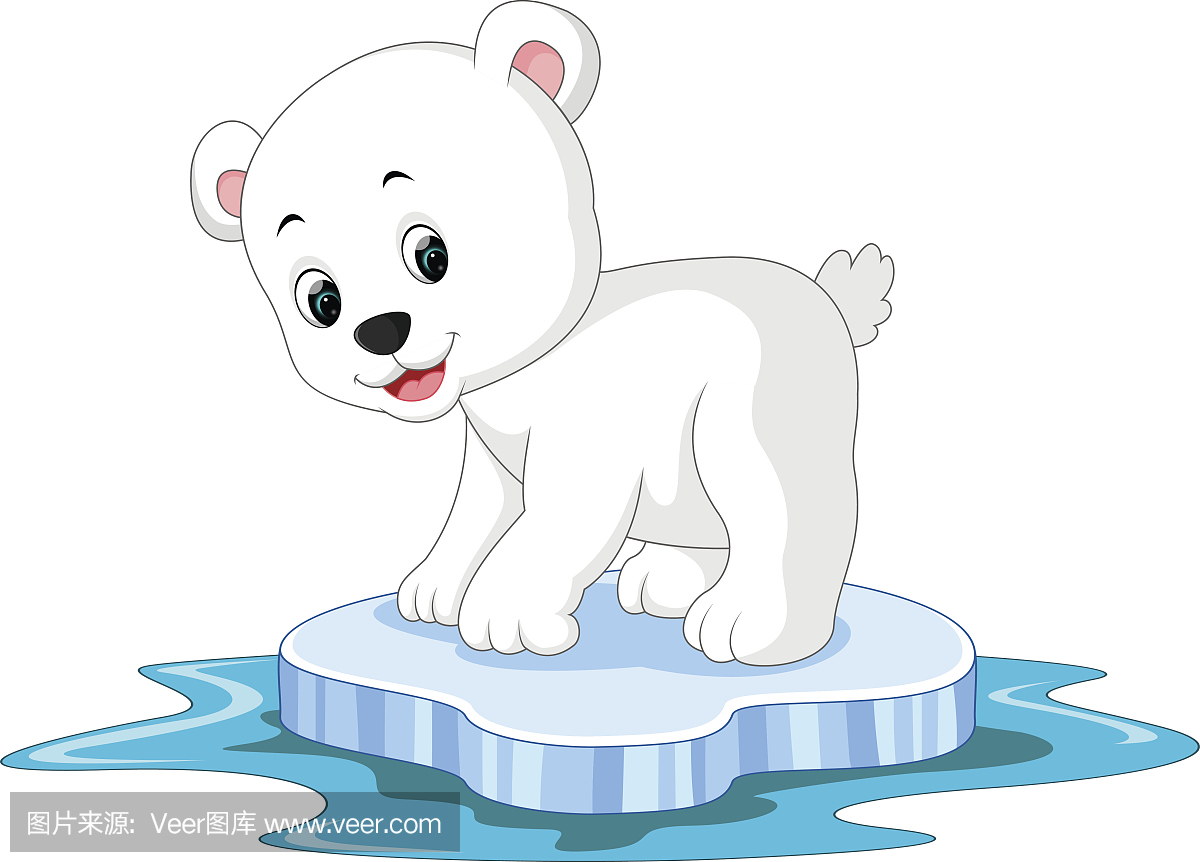 北极熊,南极熊,极地熊,白熊