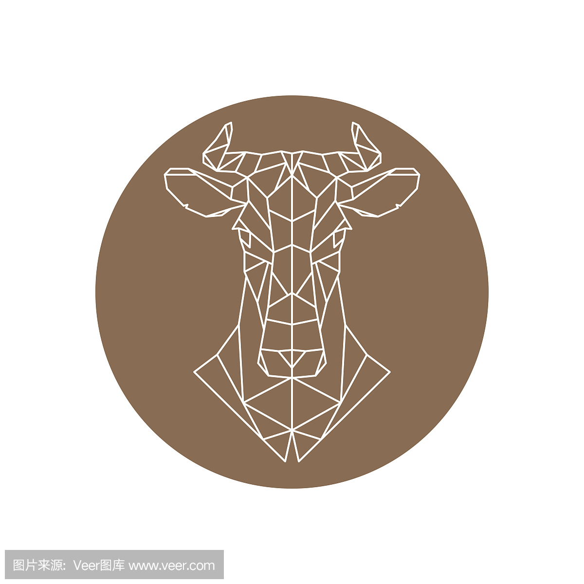 家牛,家养牛,母牛,大型母兽