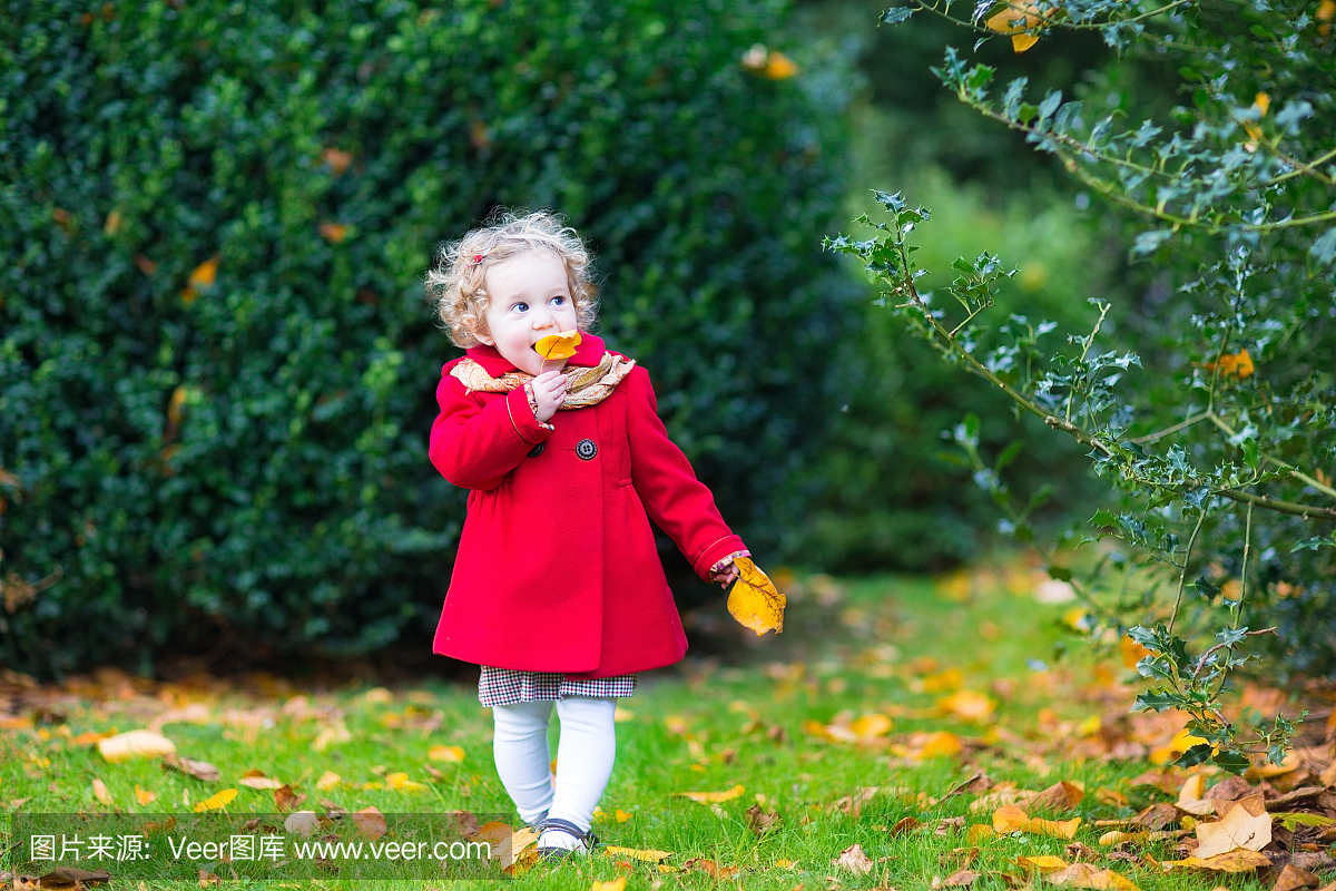 有趣的可爱的小孩女孩穿着红色外套在秋天的公