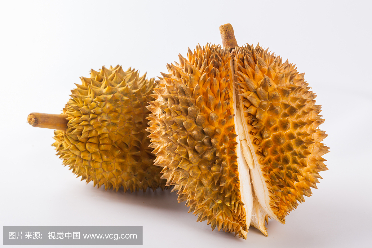 榴莲,榴连,留莲,榴莲果