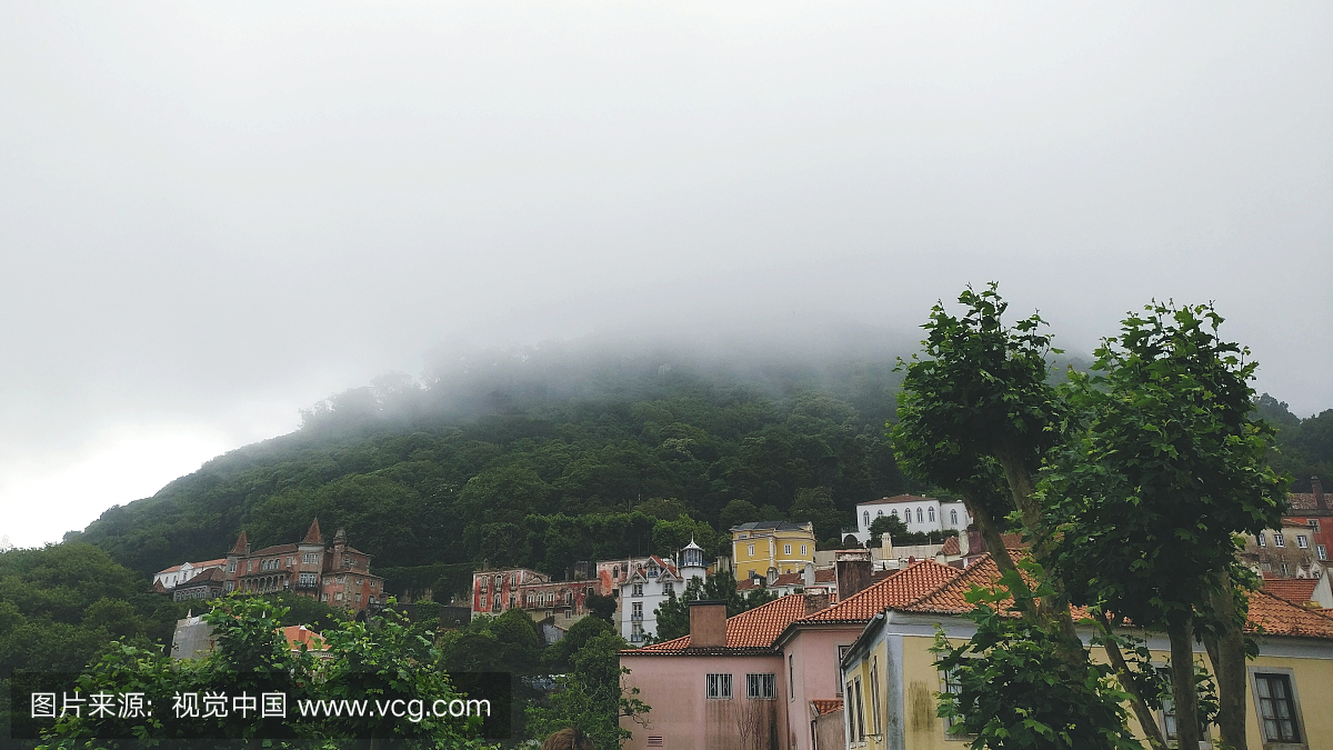 低角度视图的建筑和树木在辛特拉山在雾天气