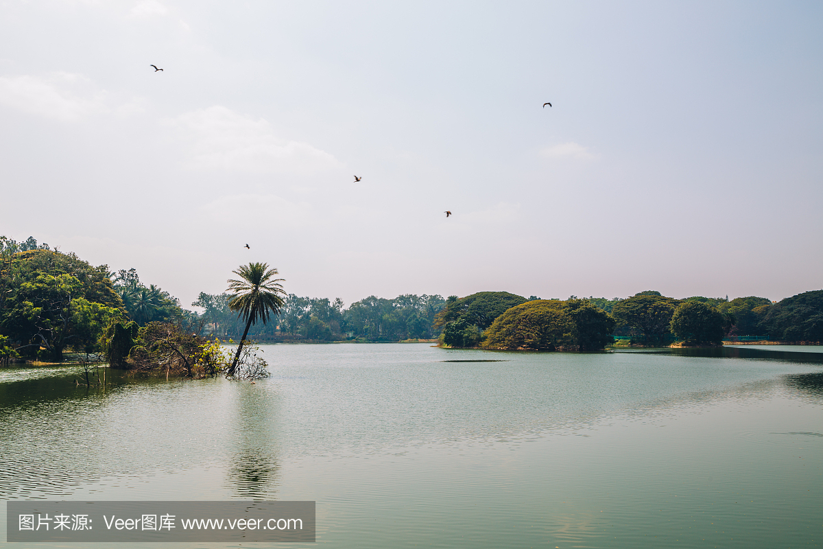 印度班加罗尔的拉尔巴格植物园