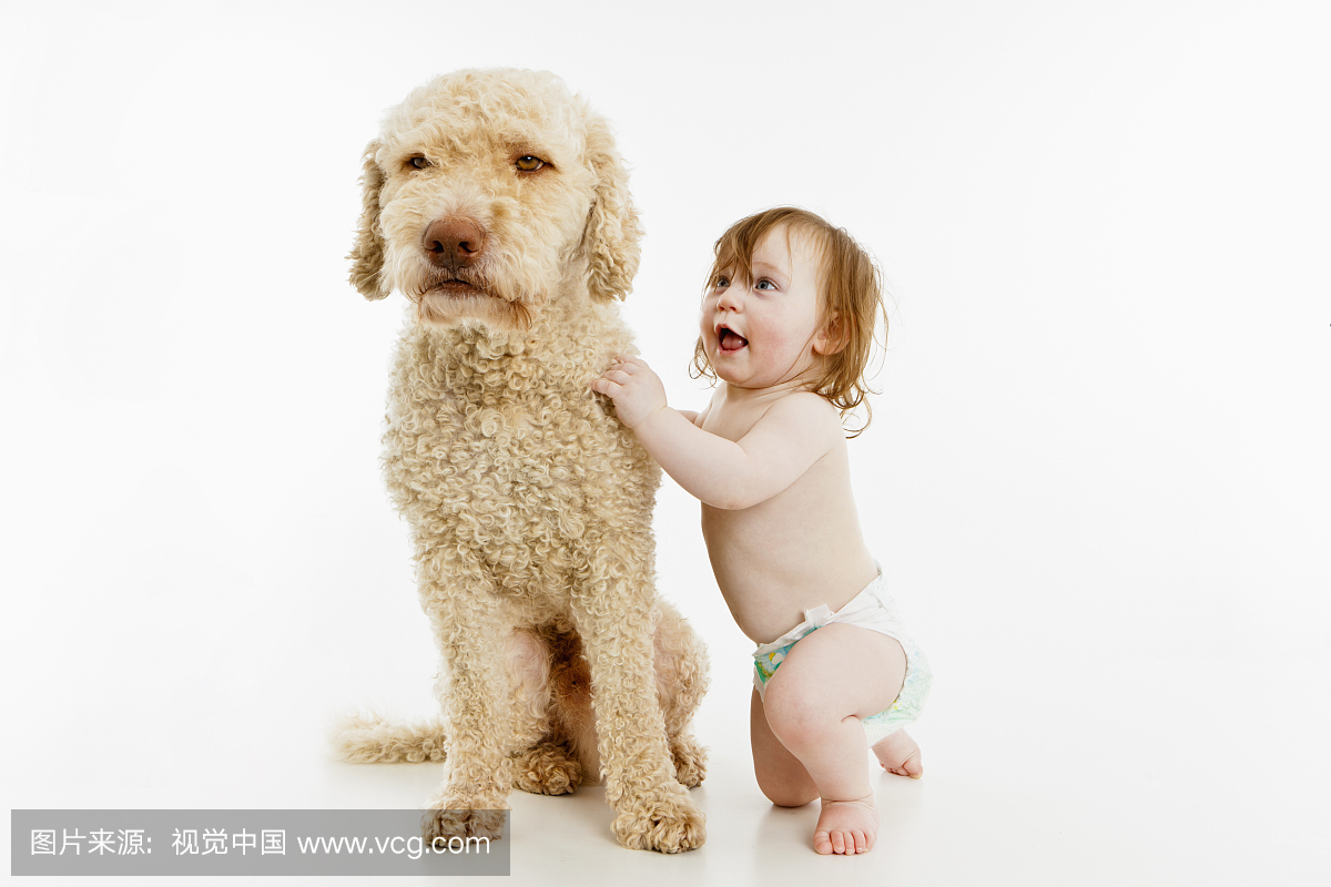 一个有狗的女婴