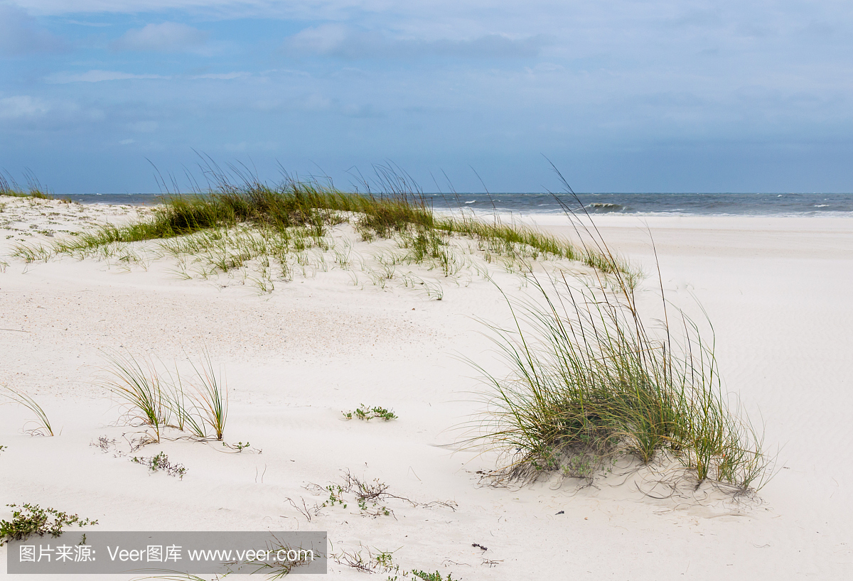 墨西哥湾沿岸岸线热带白沙丘