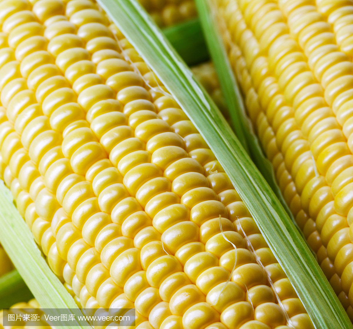 老玉米,玉米棒子,玉米棒,甜玉米