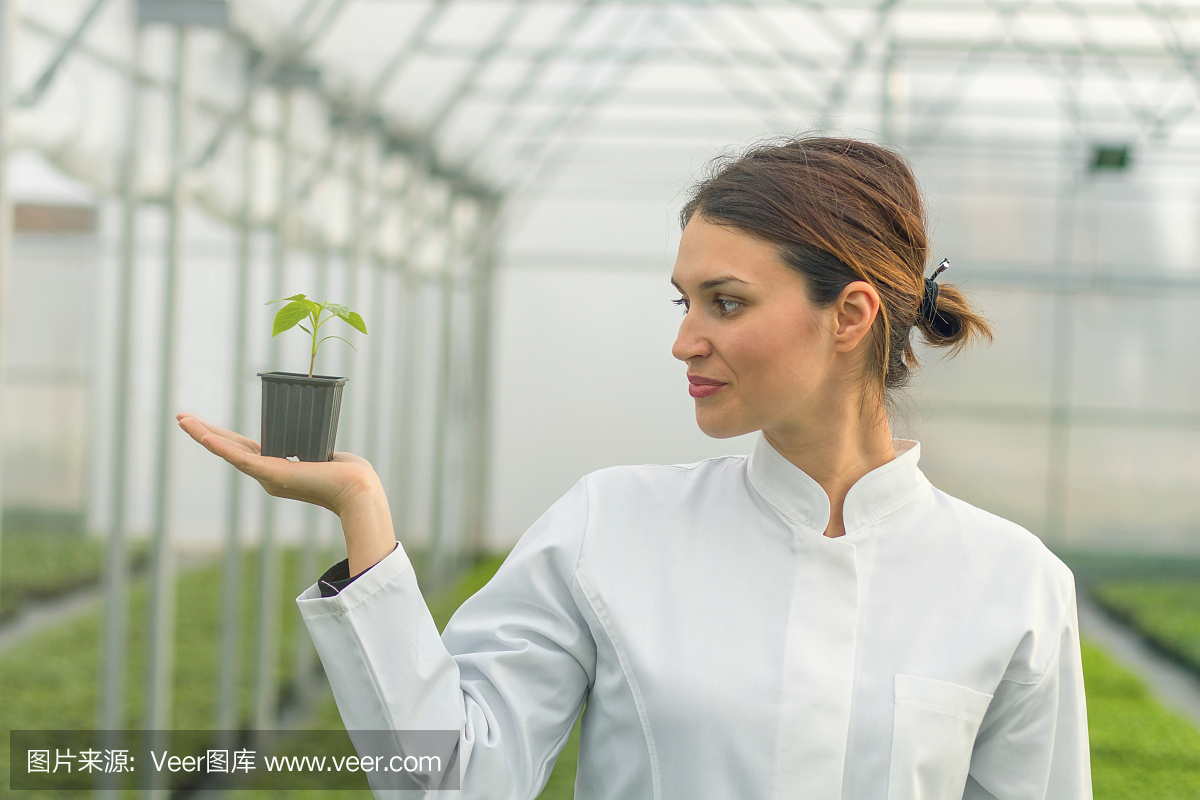植物苗圃,园圃,育苗农场,植苗园地