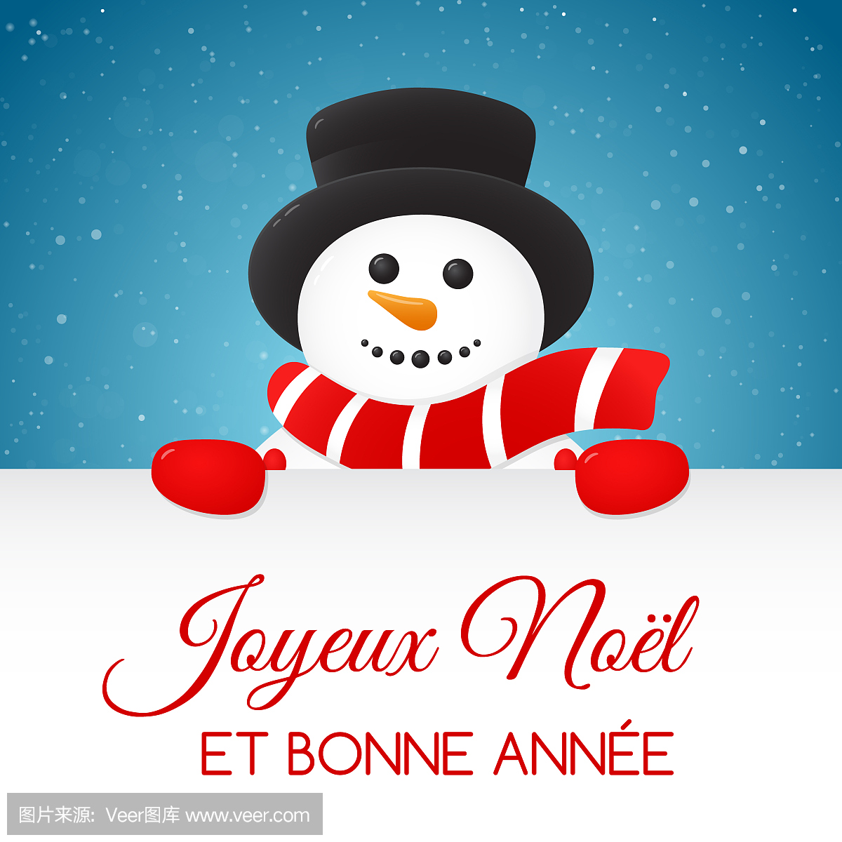 Joyeux Noel - 法语圣诞快乐。圣诞贺卡与装饰