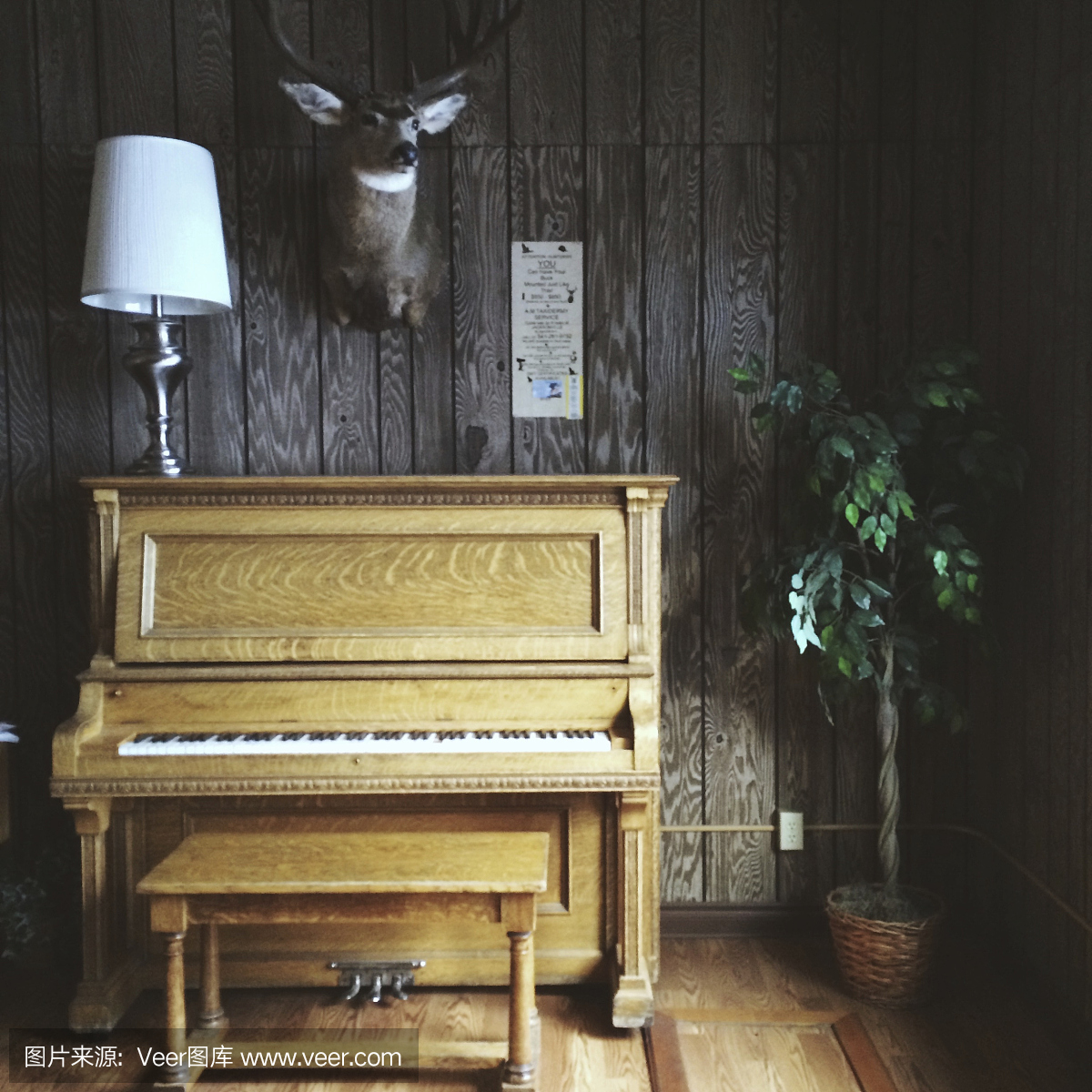 老复古钢琴和分类标签动物头在木屋
