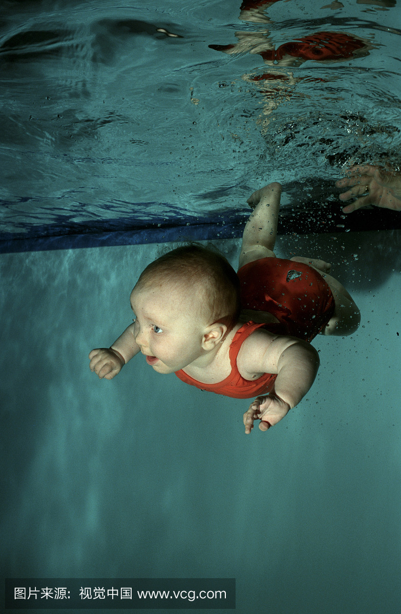 婴儿潜水在游泳池,游泳池,奥地利