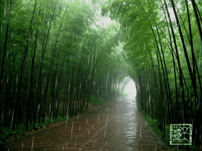 下雨动态壁纸