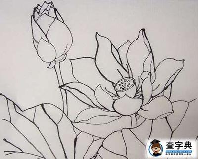 儿童画荷花荷叶画法_儿童画荷花荷叶画法图片大全图片