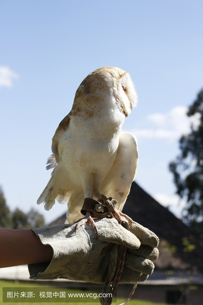 秘密,平衡,恢复,自然