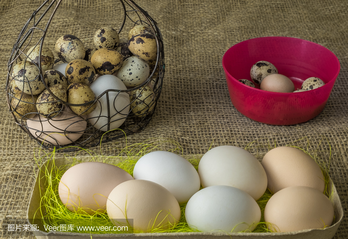 很多鸡蛋和鹌鹑蛋米色和白色的谎言的金属结构