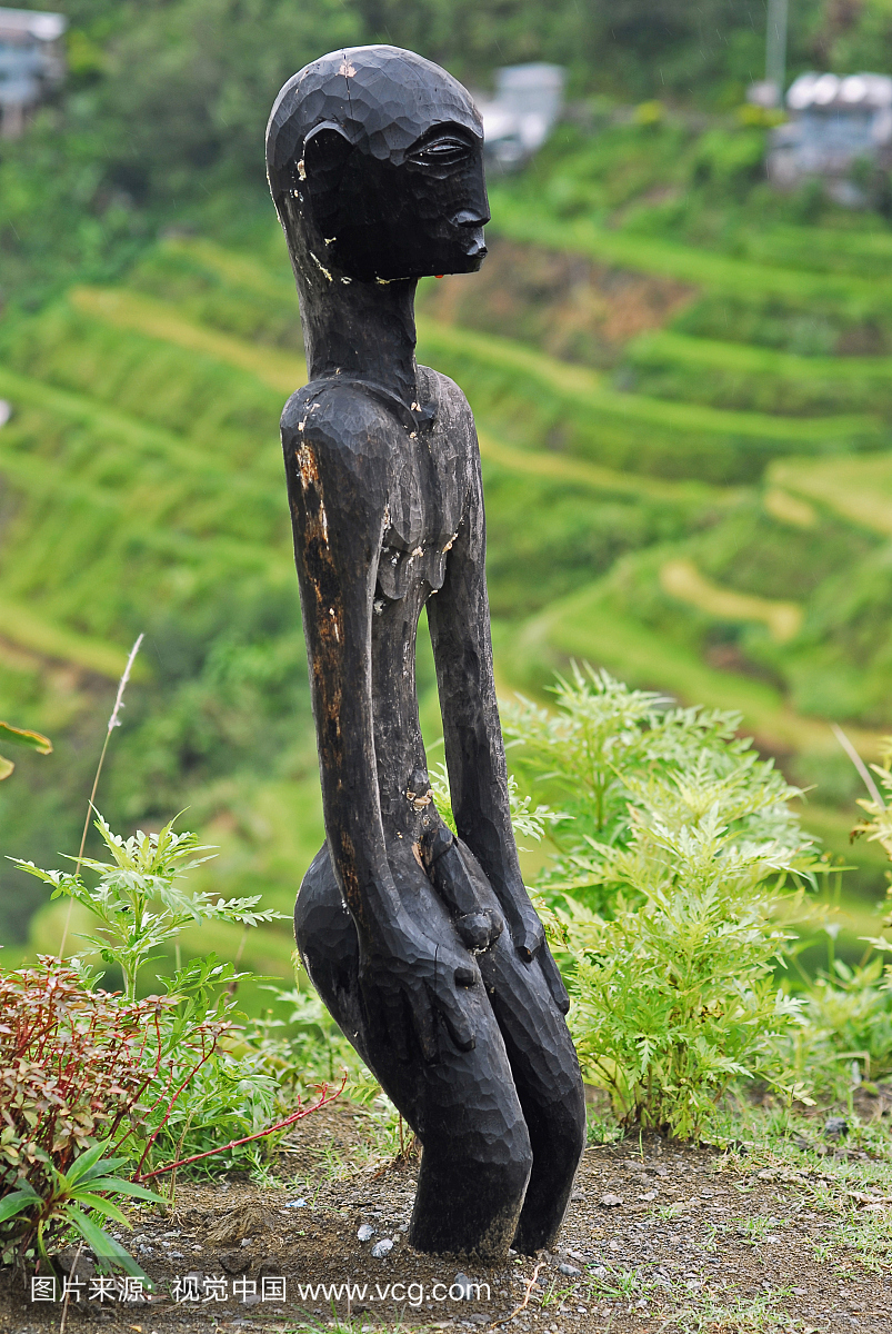 水稻梯田与木雕像在前景,Banaue,菲律宾
