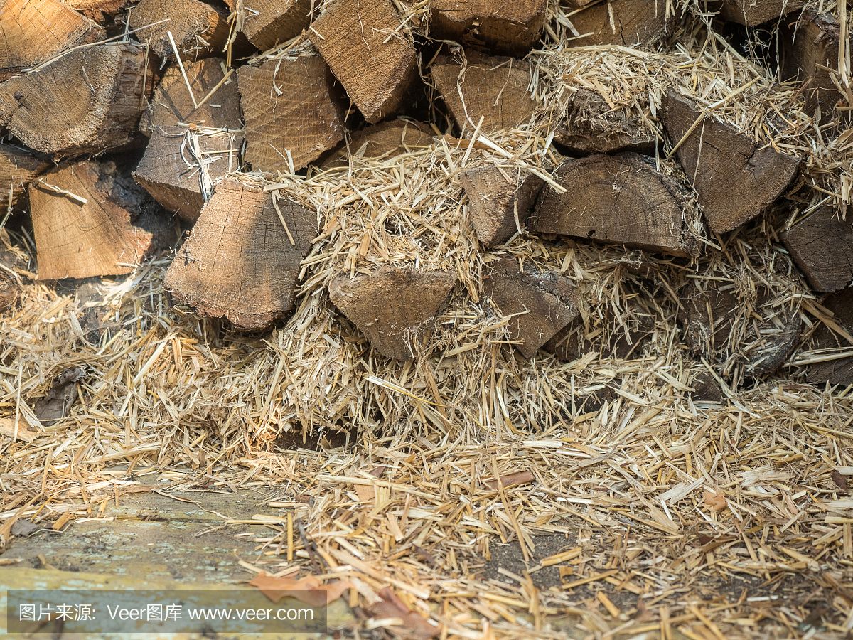 ouse and kindling. Wood for the stove. Look at
