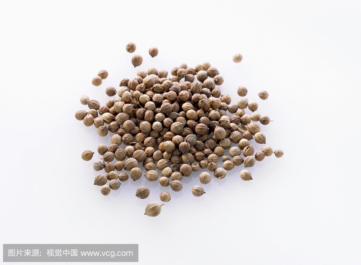 芫荽叶,调料,胡荽籽,背景分离