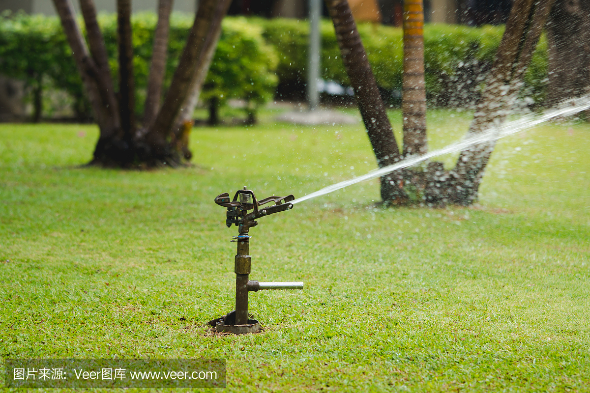 自动喷水器在公园浇水绿草
