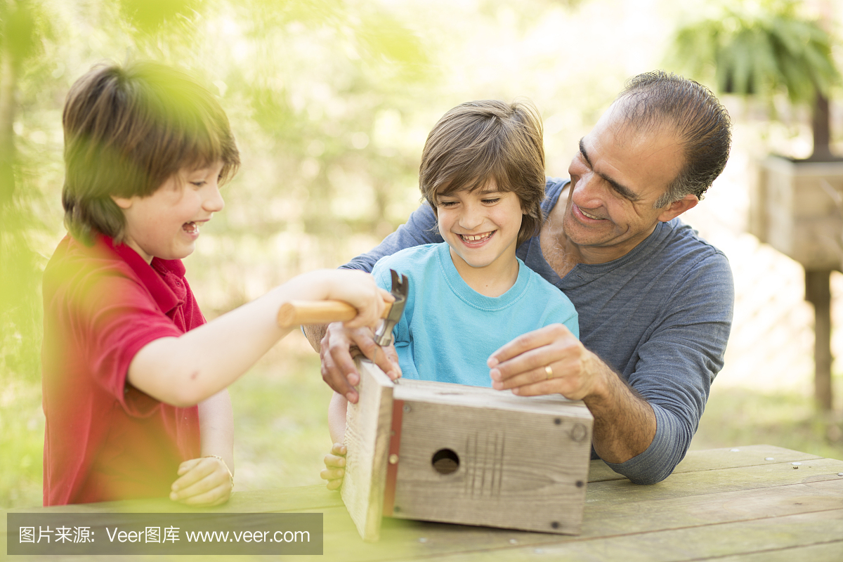 父亲和两个儿子在户外建造鸟舍。家人在一起的