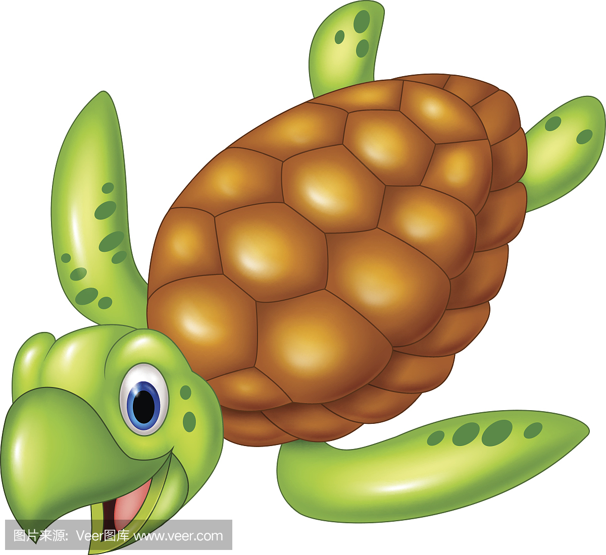可爱的海龟。隔绝在白色背景上