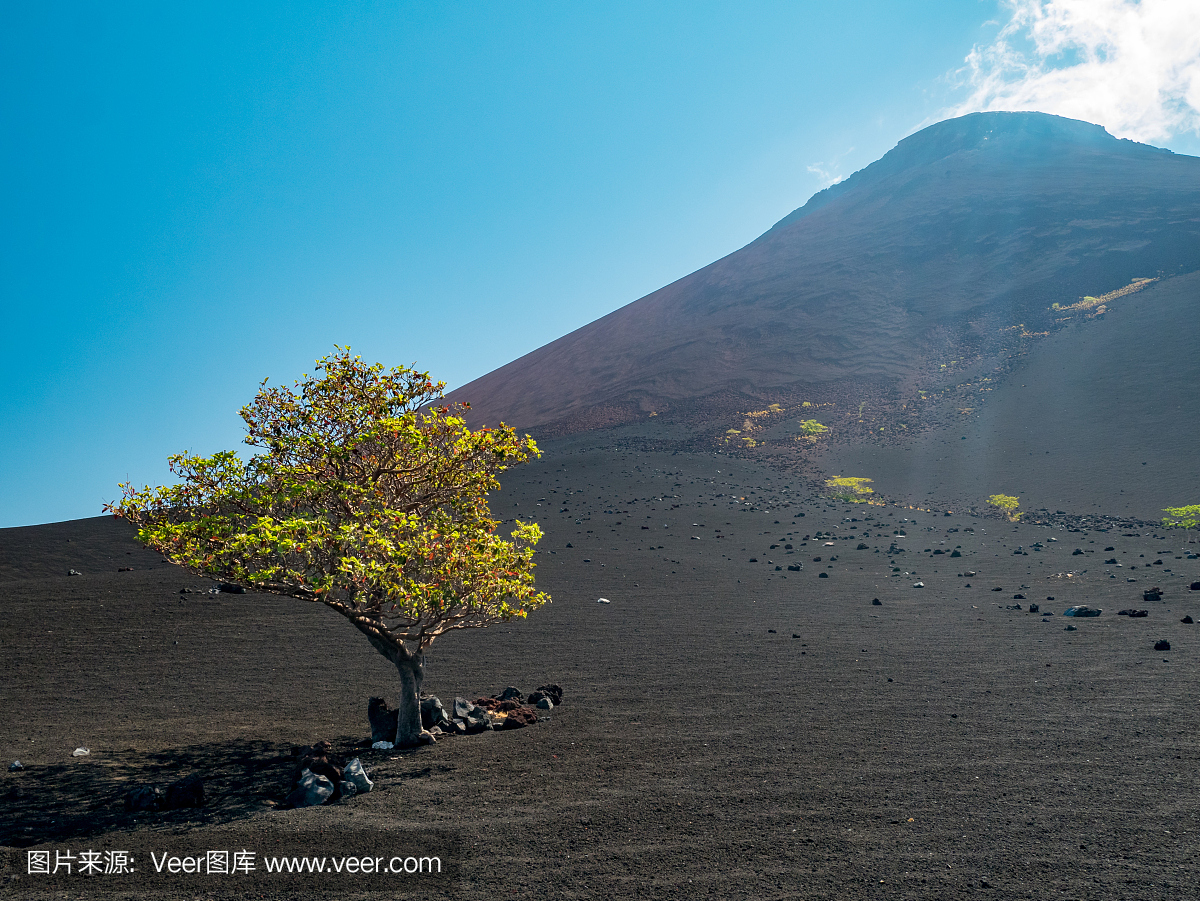 沙滩滑板,沙丘滑板游戏,沙丘滑板,磨脚石