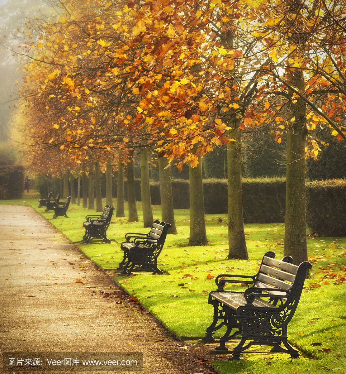 凯欣豪园,丽晶公园,摄政公园,垂直画幅