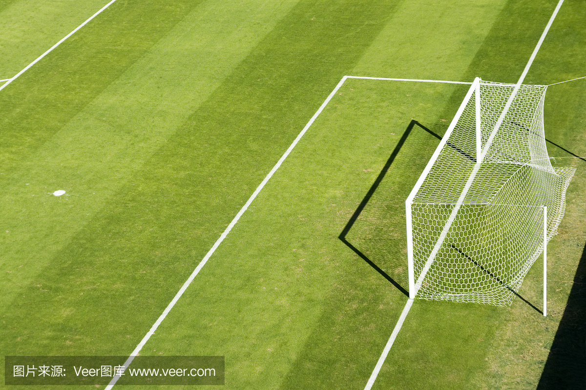 足球场与漂亮的草和一个目标