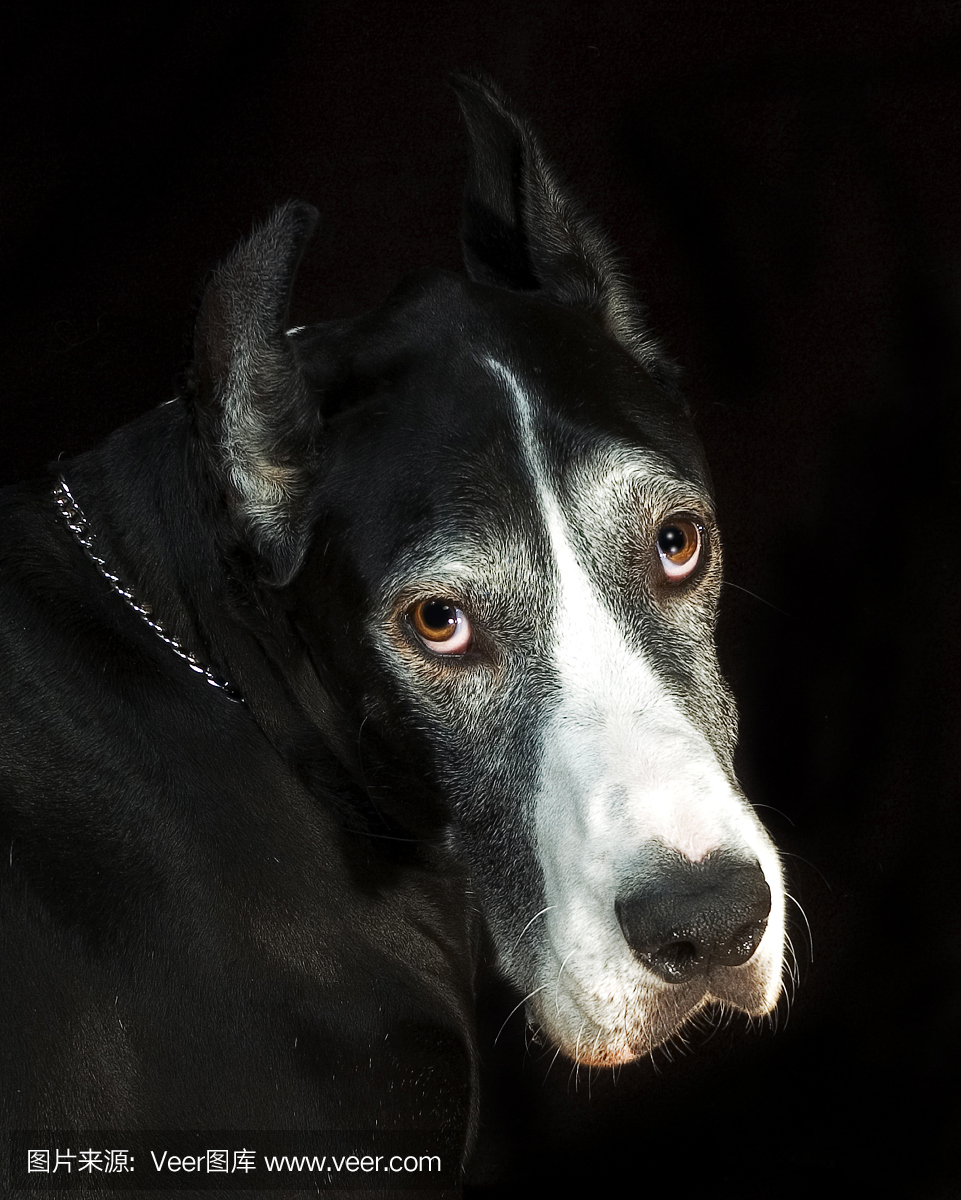 丹麦郡,戴恩军,丹麦人郡,戴恩县