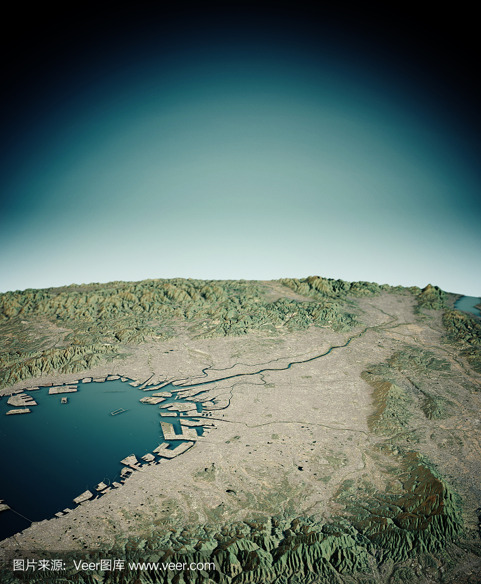 大阪3D渲染卫星地图垂直